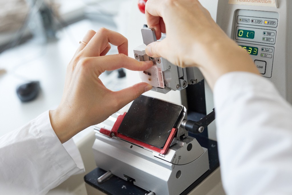 HPH digital microscopy